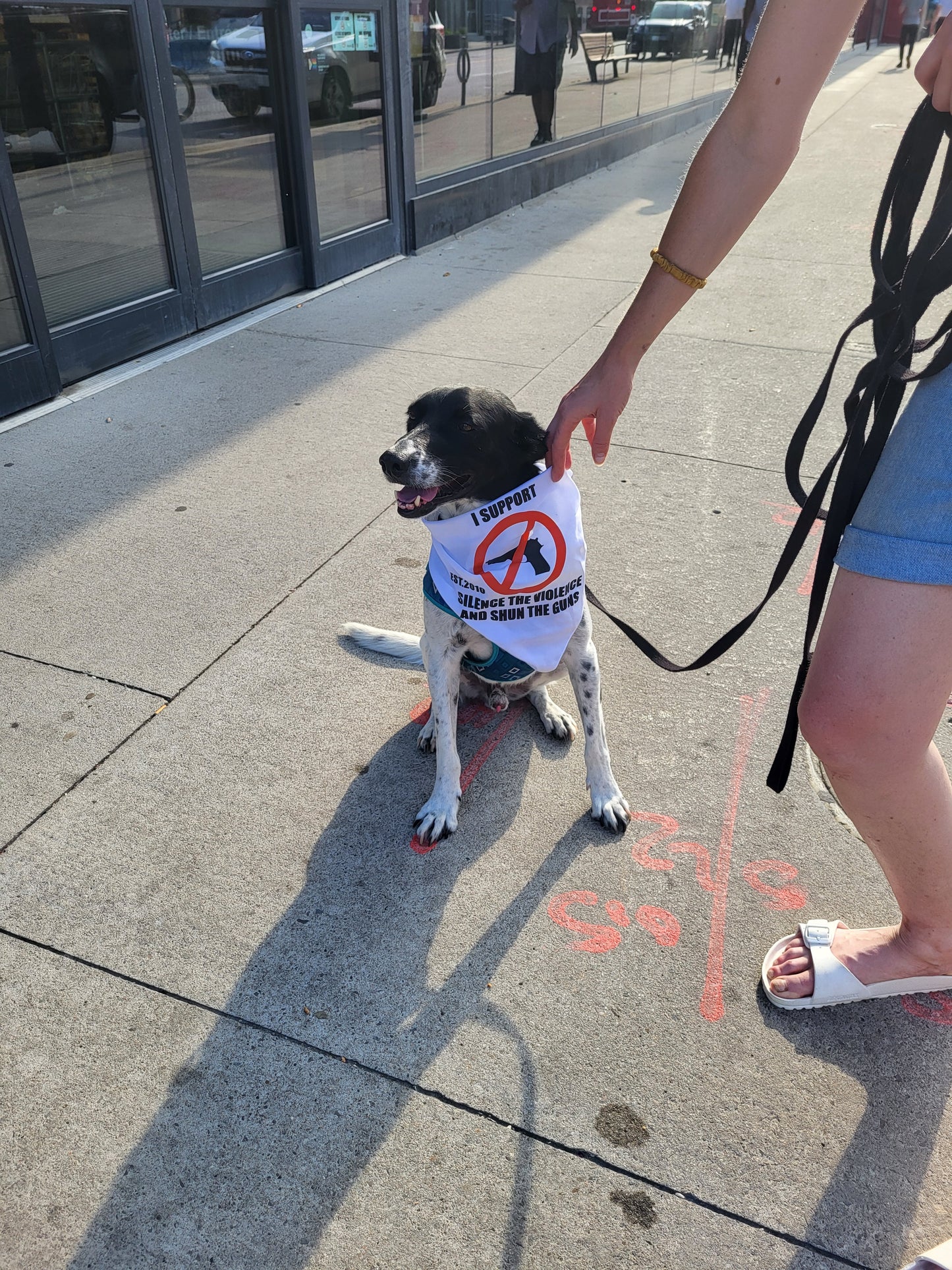 THE SILENCE THE VIOLENCE AND SHUN THE GUNS BANDANA FOR DOGS