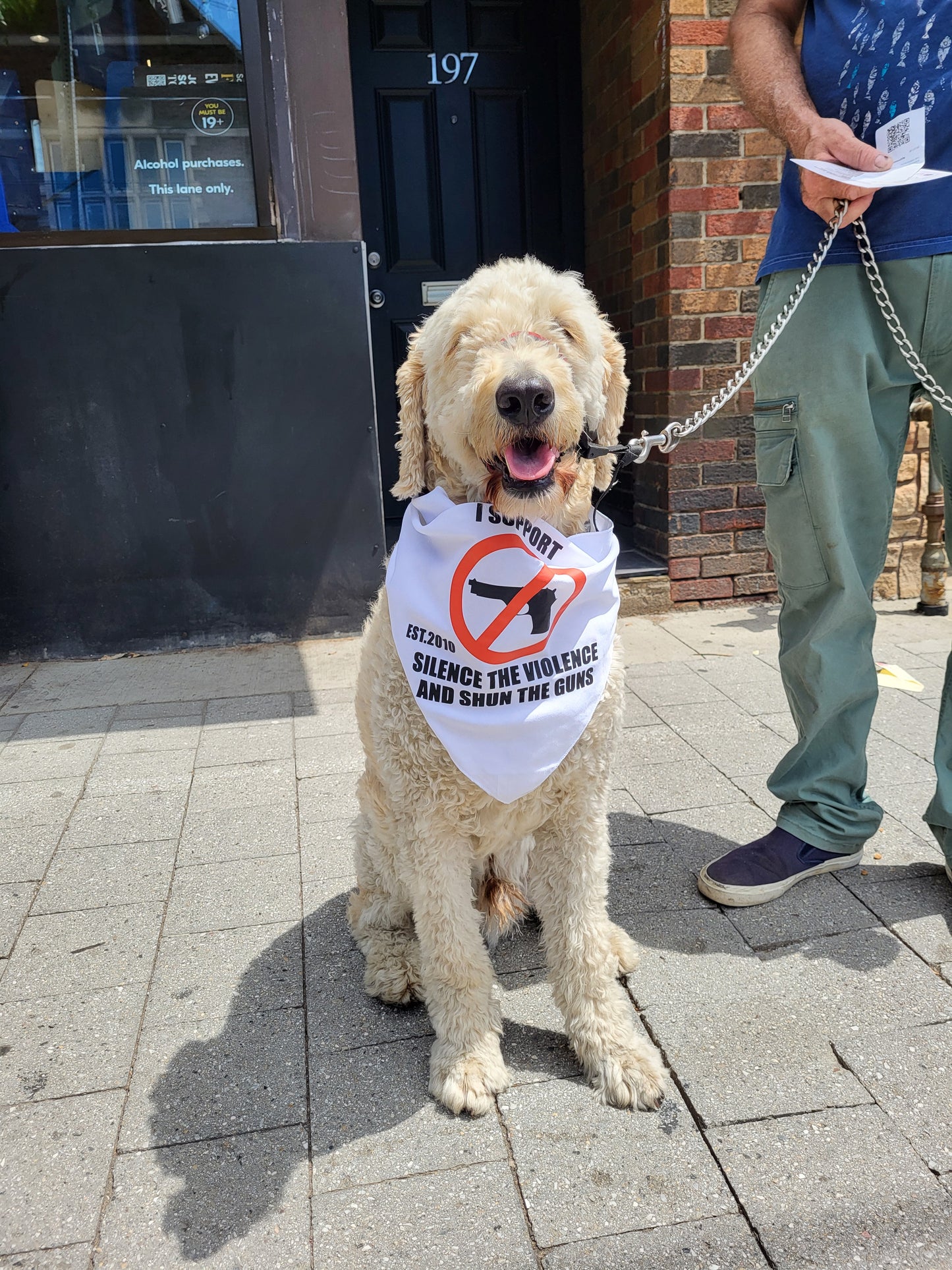 THE SILENCE THE VIOLENCE AND SHUN THE GUNS BANDANA FOR DOGS
