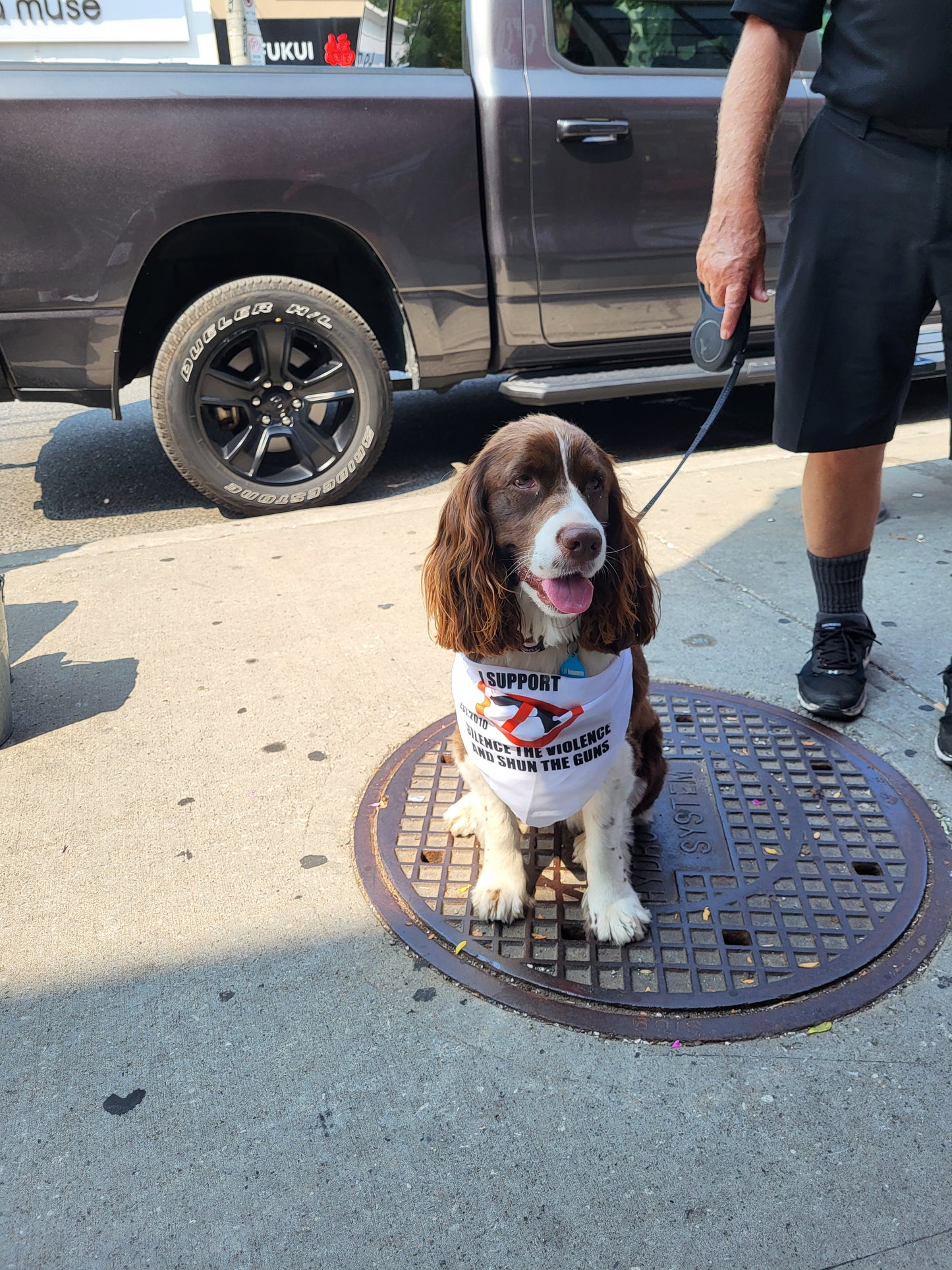 THE SILENCE THE VIOLENCE AND SHUN THE GUNS BANDANA FOR DOGS