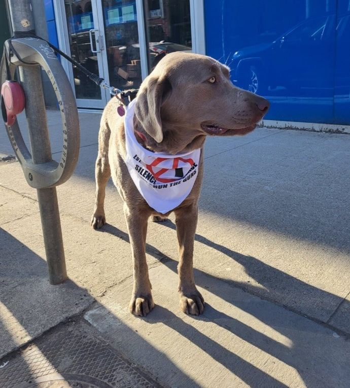 THE SILENCE THE VIOLENCE AND SHUN THE GUNS BANDANA FOR DOGS