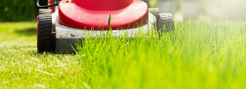 SILENCE THE VIOLENCE AND SHUN THE GUNS LAWN CARE SERVICE CASUAL