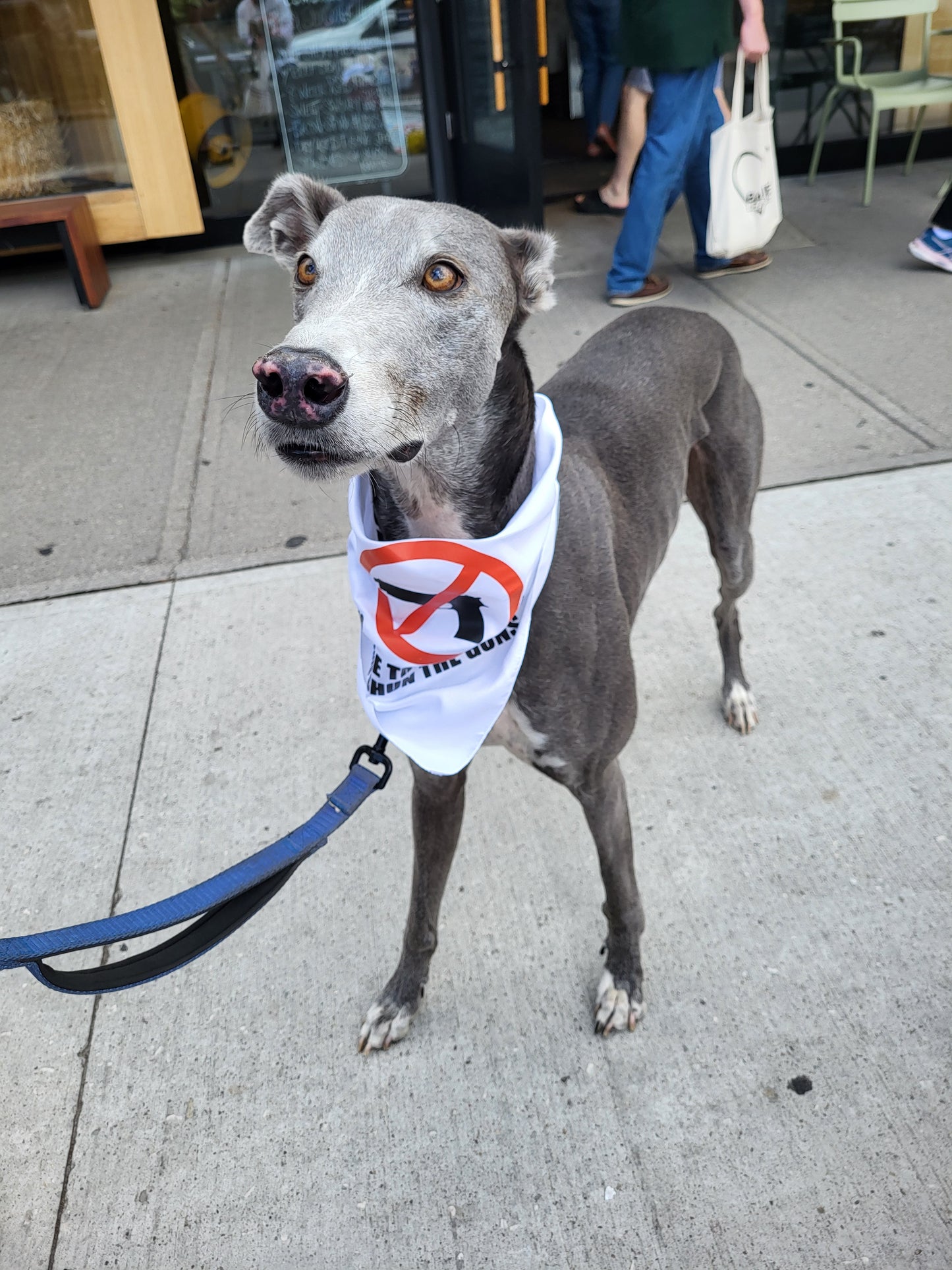 THE SILENCE THE VIOLENCE AND SHUN THE GUNS BANDANA FOR DOGS
