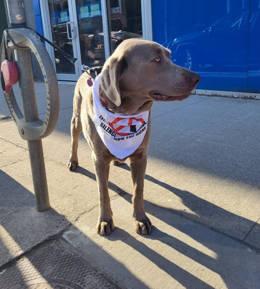THE SILENCE THE VIOLENCE AND SHUN THE GUNS BANDANA FOR DOGS