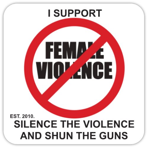 THE ANTI-VIOLENCE AGAINST FEMALES COASTER